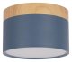 Накладной светодиодный светильник Loft IT Grape 10162 Blue. 