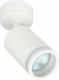 Спот ЭРА OL23 GU10 WH Б0054396. 