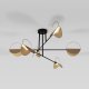 Потолочная люстра Eurosvet Grazia 70148/6 черный/золото. 