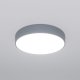 Потолочный светильник Entire 90319/1 серый. 