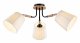 Потолочная люстра Ambrella light TR TR4731. 