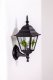 Настенный фонарь Oasis Light уличный QUADRO lead GLASS 79901MlgG Bl. 