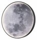 Настенно-потолочный светодиодный светильник Escada Planet 10226/SG LED Moon. 
