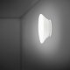 Настенно-потолочный светильник Lumi F07G1501. 