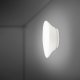 Настенно-потолочный светильник Lumi F07G1701. 