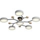 Потолочная люстра Ritter Scandia 52079 5. 