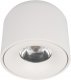 Потолочный светодиодный светильник Loft IT Tictac 10219 White 3000K. 
