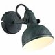 Настенно-потолочный светильник Arte Lamp Martin A5213AP-1BG. 
