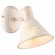 Настенно-потолочный светильник Arte Lamp Cono A5218AP-1WG. 