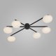 Потолочная люстра Eurosvet Opaline 70220/6 черный. 