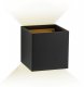 Настенный светильник AM Group AM11 AM112-2X5W-BK+GD. 