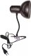 Интерьерная настольная лампа Seven Fires Eir 72001.04.76.01. 