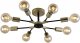 Потолочная люстра Seven Fires Evlina SF3370/8C-GD-BK. 