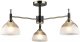Потолочная люстра Wedo Light Olis WD3617/3C-AB-BK-WT. 