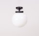 Потолочный светильник уличный Oasis Light GLOBO S 88205SA Bl. 