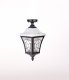 Потолочный светильник уличный Oasis Light VENECIA 2L 91805LA Bl. 