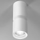 Потолочный светодиодный светильник Elektrostandard Kayo 25048/LED 12W 4000К белый a064727. 