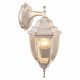 Уличный настенный светильник Arte Lamp Pegasus A3152AL-1WG. 
