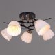 Потолочная люстра Reluce 10134-0.3-05 BK+FG. 