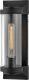 Настенный светильник уличный Hinkley Pearson QN-PEARSON-M-TK. 