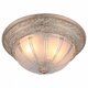 Потолочный светильник Arte Lamp Piatti A8014PL-2WA. 
