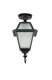 Потолочный светильник уличный Oasis Light FARO-FROST S 91105fSA Bl. 