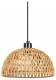 Подвесной светильник Arte Lamp Brushwood A7086SP-1BK. 