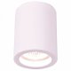 Потолочный светильник Arte Lamp Tubo A9260PL-1WH. 