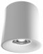 Накладной светильник LIGHTERA Shamrock LE201CL-1WB. 