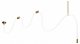 Подвесной светильник Loft IT Thread 10388B Brass. 
