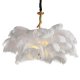 Подвесной светильник Feather Lamp L03408.02. 