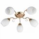 Потолочная люстра Toplight Kristin TL3520X-05FG. 