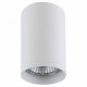 Точечный накладной светильник Lightstar Rullo 214436. 