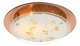 Настенно-потолочный светильник Globo Ayana 40413-2. 