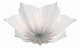 Потолочная люстра ST Luce Fiore SL359.502.07. 