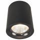 Потолочный светодиодный светильник Arte Lamp Facile A5118PL-1BK. 