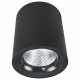 Потолочный светодиодный светильник Arte Lamp Facile A5130PL-1BK. 