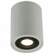 Потолочный светильник Arte Lamp A5644PL-1WH. 