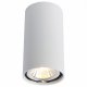 Потолочный светильник Arte Lamp A1516PL-1WH. 