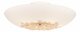 Потолочный светильник Silver Light Verbena 835.50.5. 
