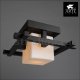 Потолочный светильник Arte Lamp Woods A8252PL-1CK. 
