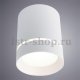 Потолочный светодиодный светильник Arte Lamp A1909PL-1WH. 