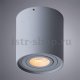Потолочный светильник Arte Lamp Falcon A5645PL-1GY. 