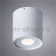 Потолочный светильник Arte Lamp Falcon A5645PL-1WH. 