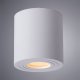Потолочный светильник Arte Lamp Galopin A1460PL-1WH. 