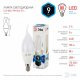 Лампа светодиодная ЭРА E14 9W 4000K матовая LED BXS-9W-840-E14. 