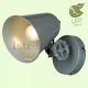 Спот Lussole Loft GRLSP-9571. 