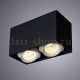 Потолочный светильник Arte Lamp Pictor A5654PL-2BK. 