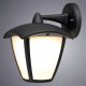Уличный настенный светильник Arte Lamp Savanna A2209AL-1BK. 