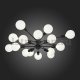Потолочная люстра ST Luce Ano SL419.402.16. 